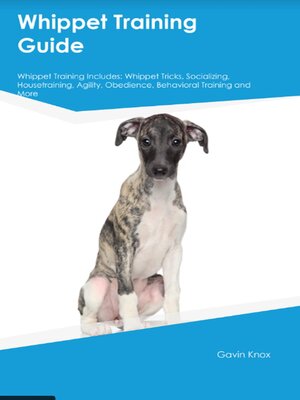 cover image of Whippet Training Guide  Whippet Training Includes